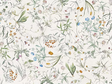 animal and plant pattern texture (ID:ffacg07801)