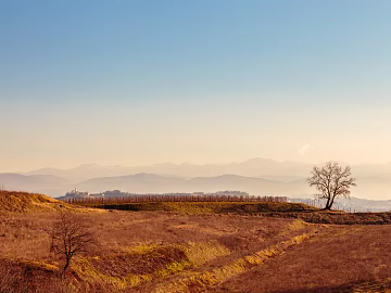 Modern Natural Landscape Farmland Terrace Exterior texture (ID:ffach201980)