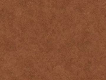 fine grain leather texture (ID:ffabg59439)