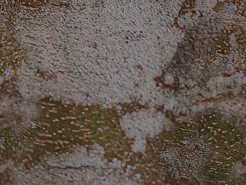bark texture (ID:ffacg31884)