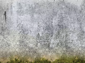 Gray cement wall texture (ID:ffaeh446989)