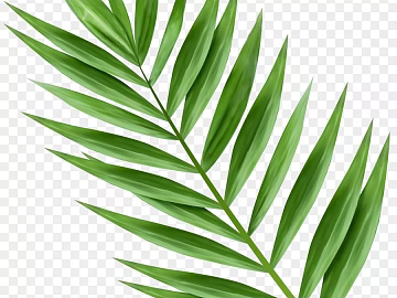 leaves texture (ID:ffacg63960)
