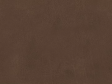 Coarse-grain leather texture (ID:ffajg95021)