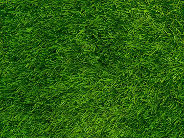 Turf texture (ID:ffagf1641)