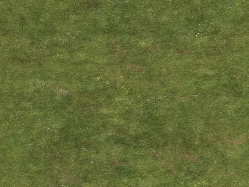 Turf texture (ID:ffaeg73799)