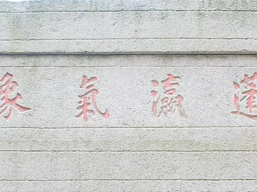 relief texture (ID:ffabg58262)