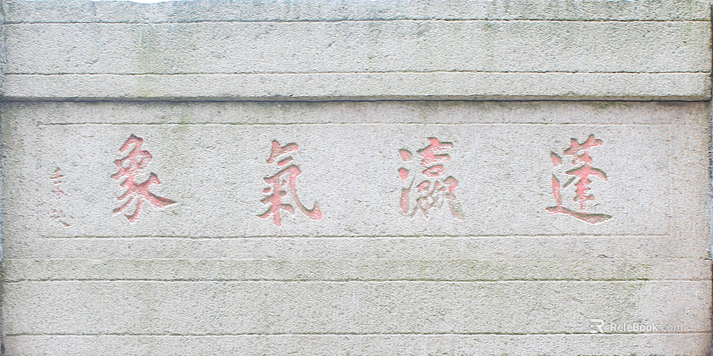 relief texture