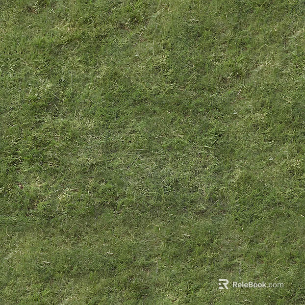 Grassland texture