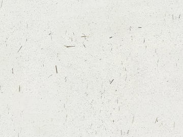 cement straw white wall 3d model