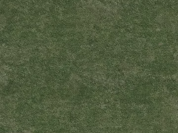 Turf texture (ID:ffagg11019)
