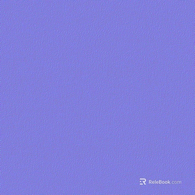 Normal Bump texture