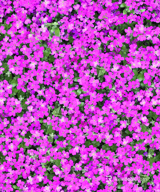 Red Flowers Flowers Green Plants texture