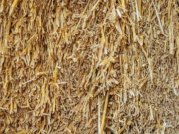 Thatched roof texture (ID:ffaag06807)