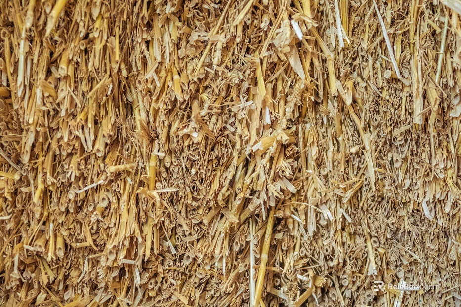 Thatched roof texture