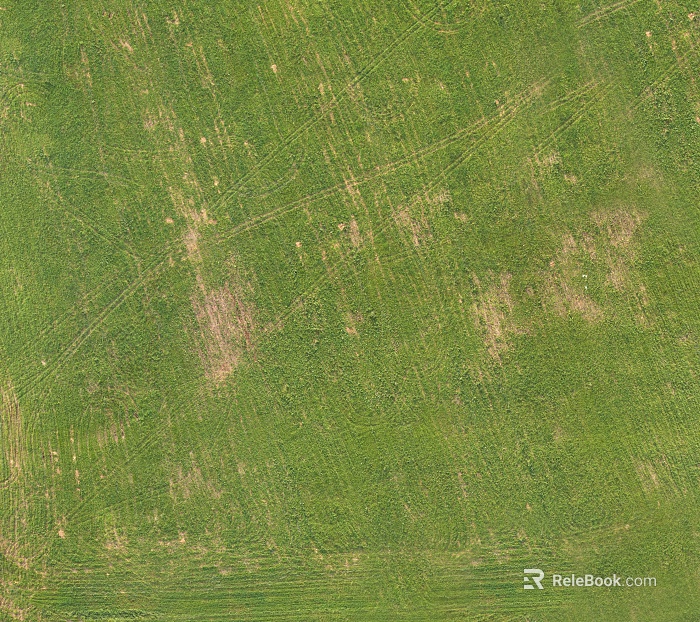 Turf texture