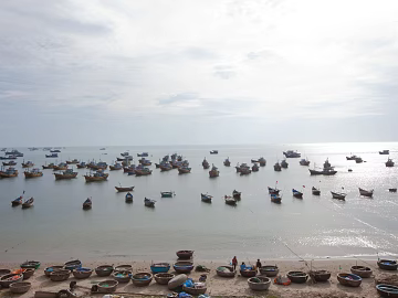 Coast texture (ID:ffaeg37675)