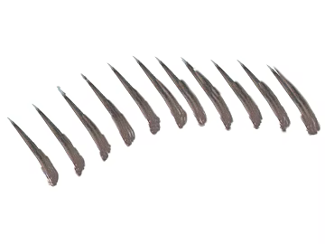 Dark Brown Spike Brush Texture texture (ID:ffaeh892439)