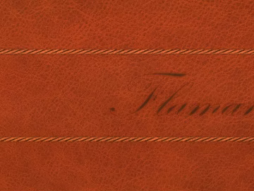 Leather texture (ID:ffajg06618)