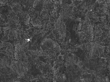 Black and White Bump texture (ID:ffacg80640)