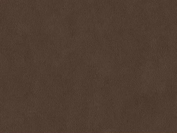 fine grain leather texture (ID:ffaff0650)