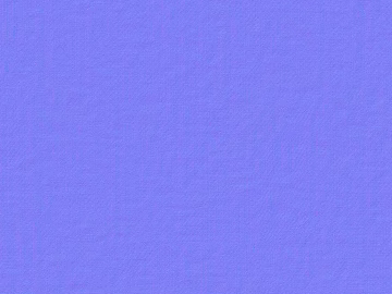 Normal Bump texture (ID:ffaeg44973)