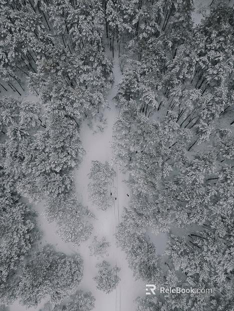 black and white painting texture