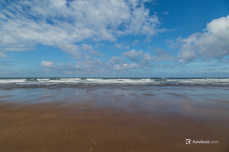 Wild Scenery texture