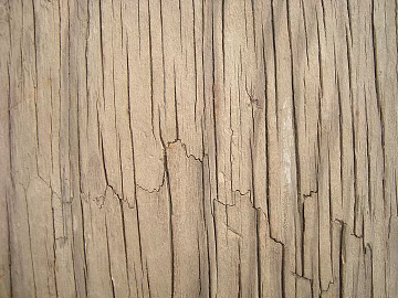 old wood texture (ID:ffacg96487)