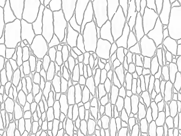 Black and white relief texture (ID:ffaeh767786)