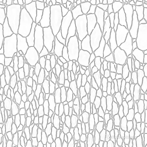Black and white relief texture
