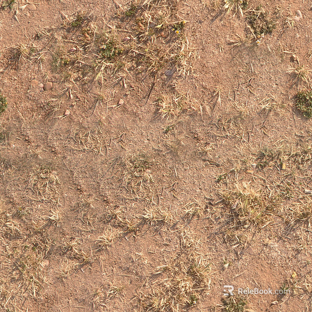 Sand texture