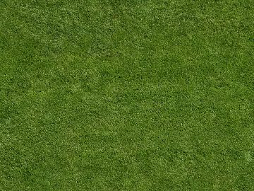 Turf texture (ID:ffajg53181)