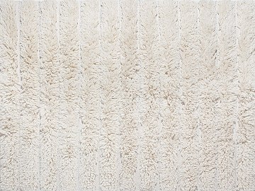 Coarse carpet texture (ID:ffacg56171)