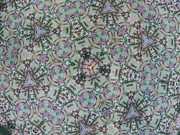 plant pattern 3d model
