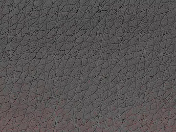 Coarse-grain leather 3d model