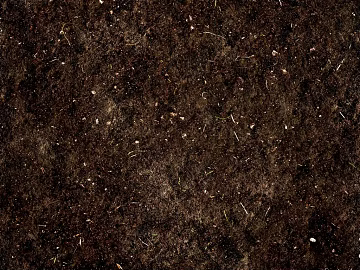 Mud texture (ID:ffach570136)