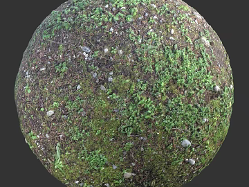 Grassland PBR texture (ID:ffach363714)