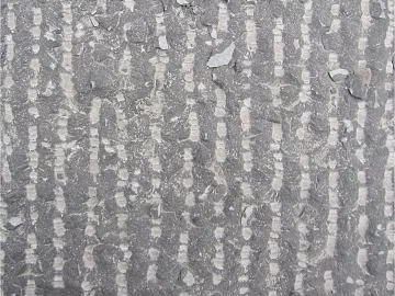 Cement floor texture (ID:ffaag20141)