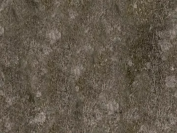 bark texture (ID:ffaeg50313)