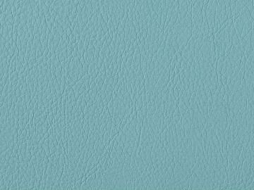 Modern Fine Grain Leather Leather texture (ID:ffach059656)