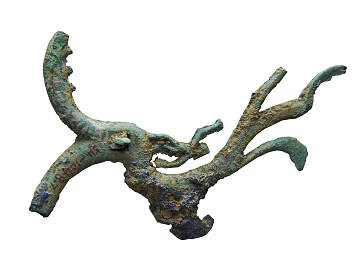 Trunk texture (ID:ffaeg47035)