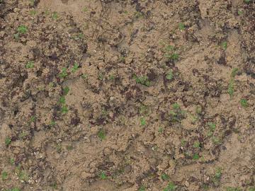 Soil Yellow with Weed Muddy Land texture (ID:ffaeh477739)