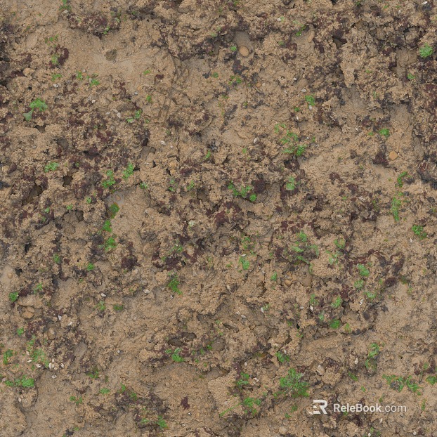 Soil Yellow with Weed Muddy Land texture