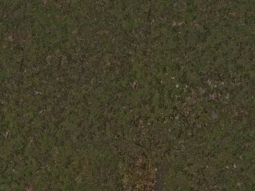 Turf texture (ID:ffajg89651)