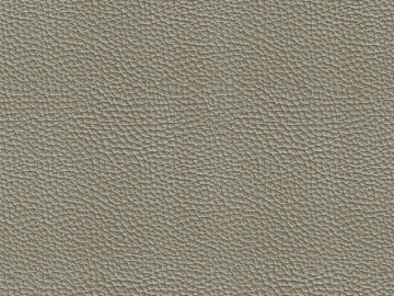 Coarse-grain leather texture (ID:ffagg70131)