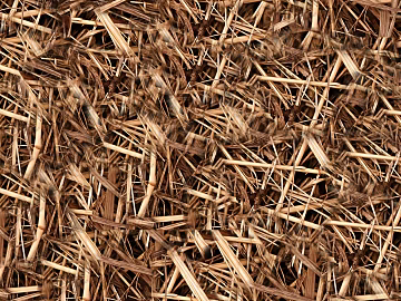 sawdust texture (ID:ffacg32272)