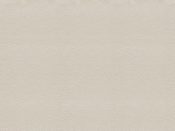 Coarse-grain leather texture (ID:ffacg26830)