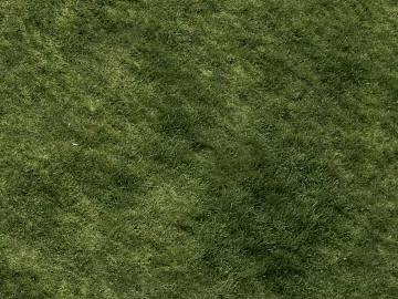 Turf texture (ID:ffadg14244)