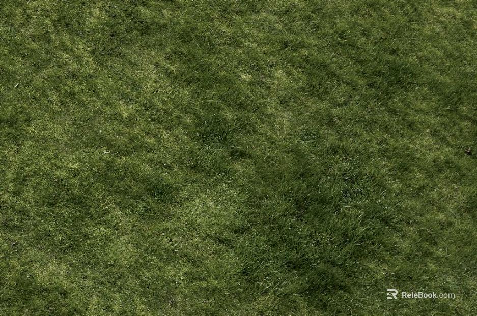 Turf texture