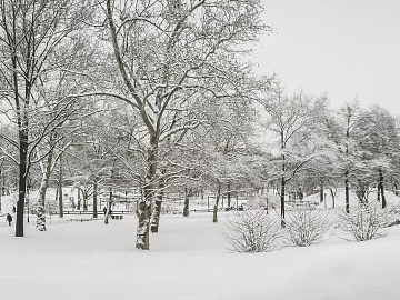 Snow texture (ID:ffacg93484)